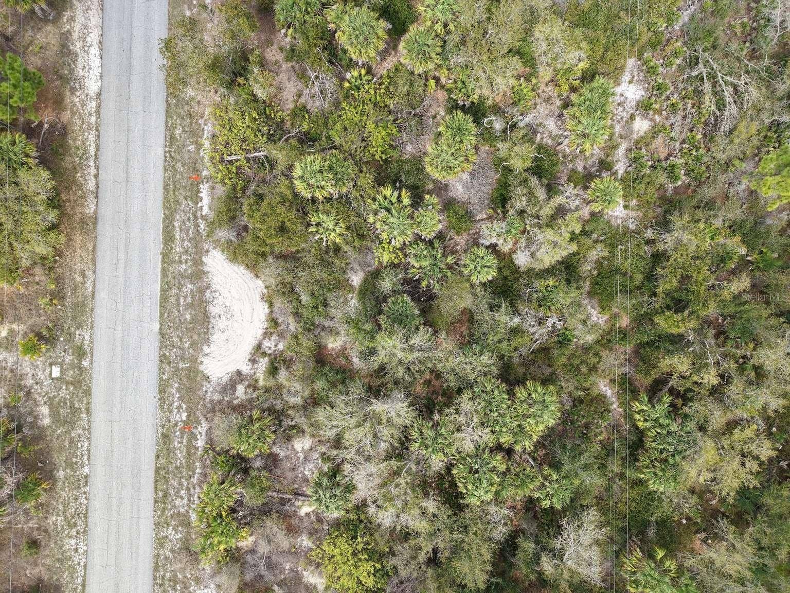 14315 WHITESIDES AVENUE, Port Charlotte, FL 33953 Overhead view of the lot and road.