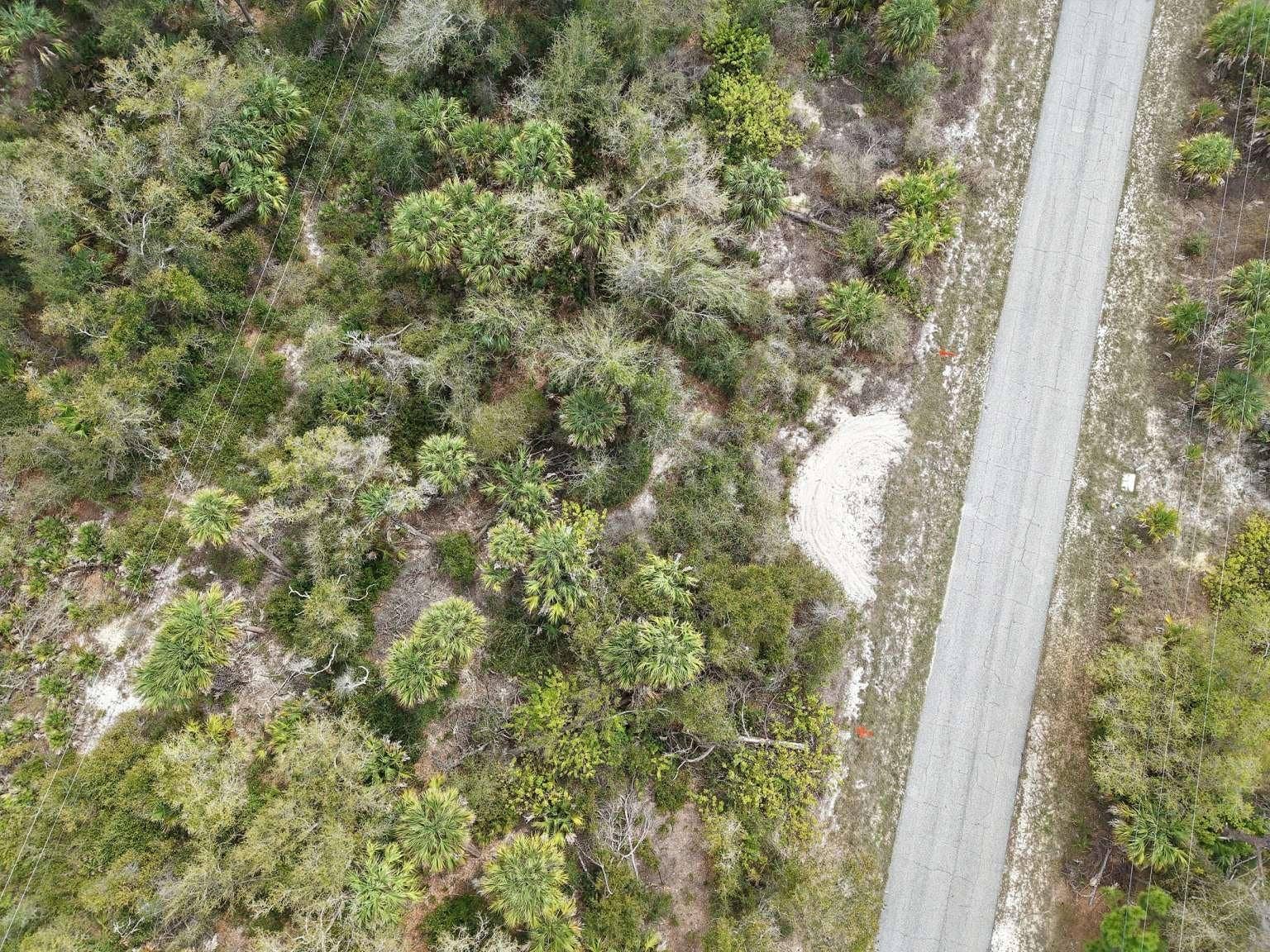 14315 WHITESIDES AVENUE, Port Charlotte, FL 33953 Overhead view of the lot and road.