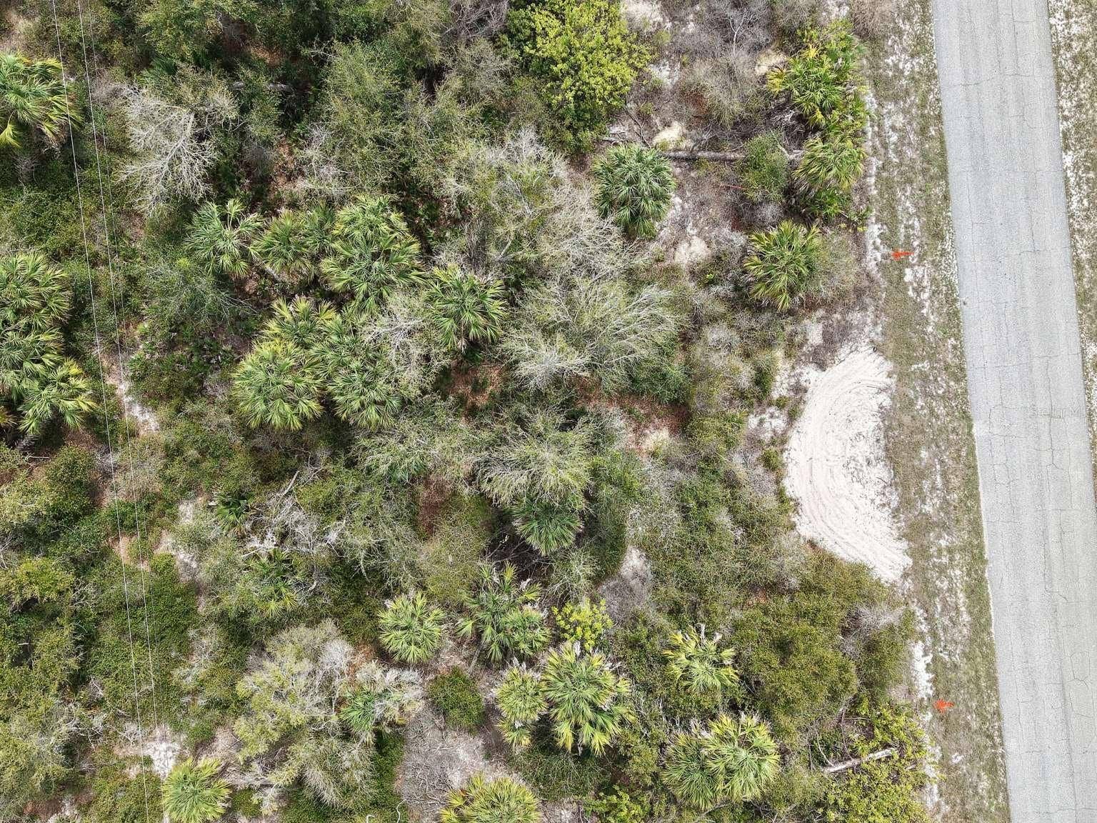 14315 WHITESIDES AVENUE, Port Charlotte, FL 33953 Overhead view of the lot vegetation.
