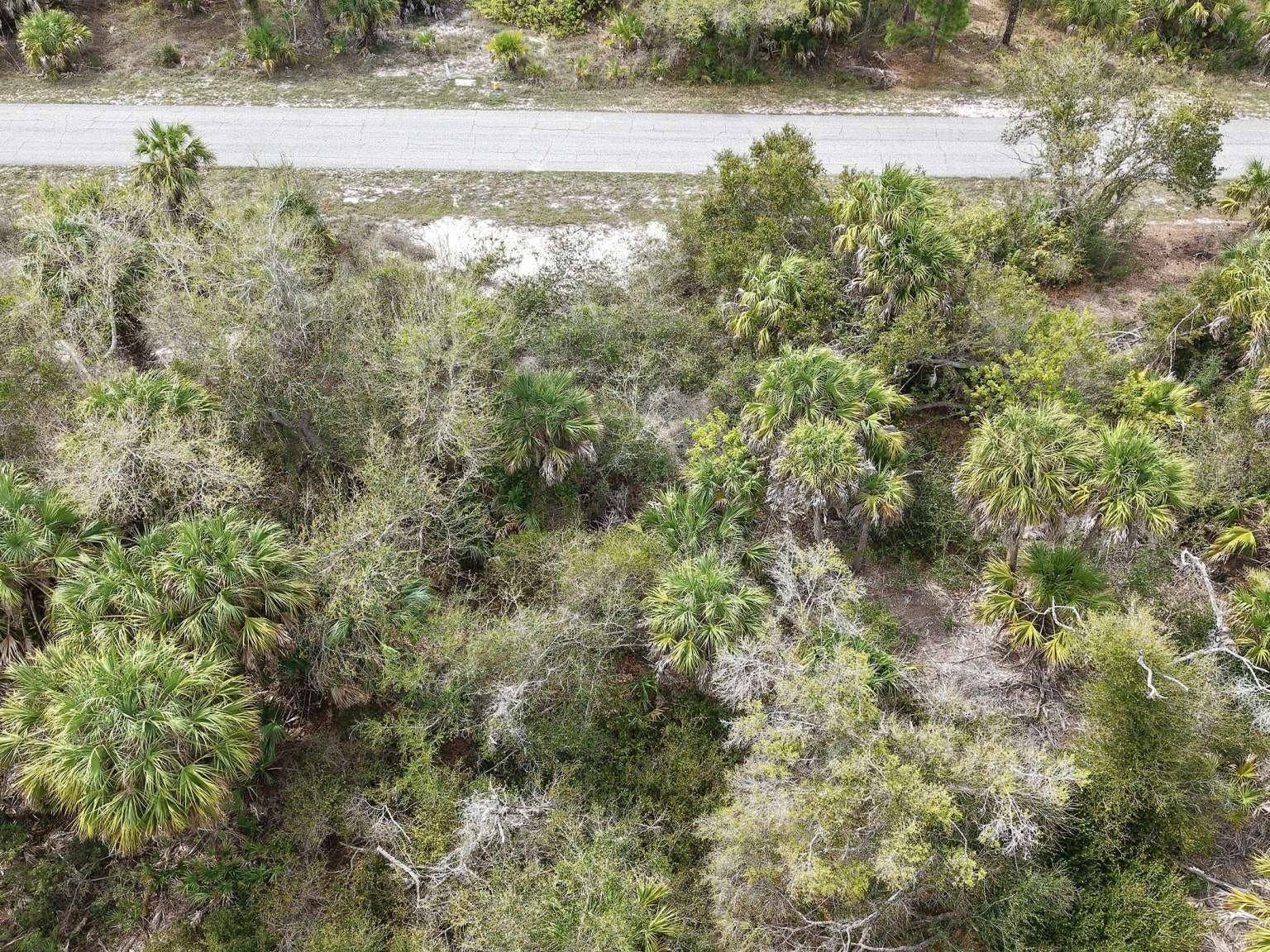 14315 WHITESIDES AVENUE, Port Charlotte, FL 33953 Aerial view of the lot and road.