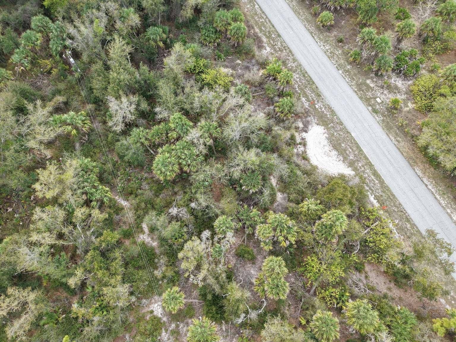 14315 WHITESIDES AVENUE, Port Charlotte, FL 33953 Aerial view of the lot and road.