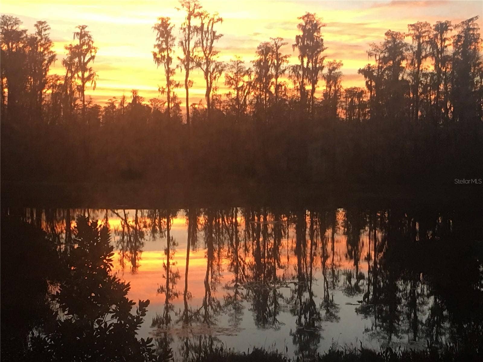 19472 LONG LAKE RANCH BOULEVARD, Lutz, FL 33558 19472 LONG LAKE RANCH BOULEVARD, Lutz, FL 33558
