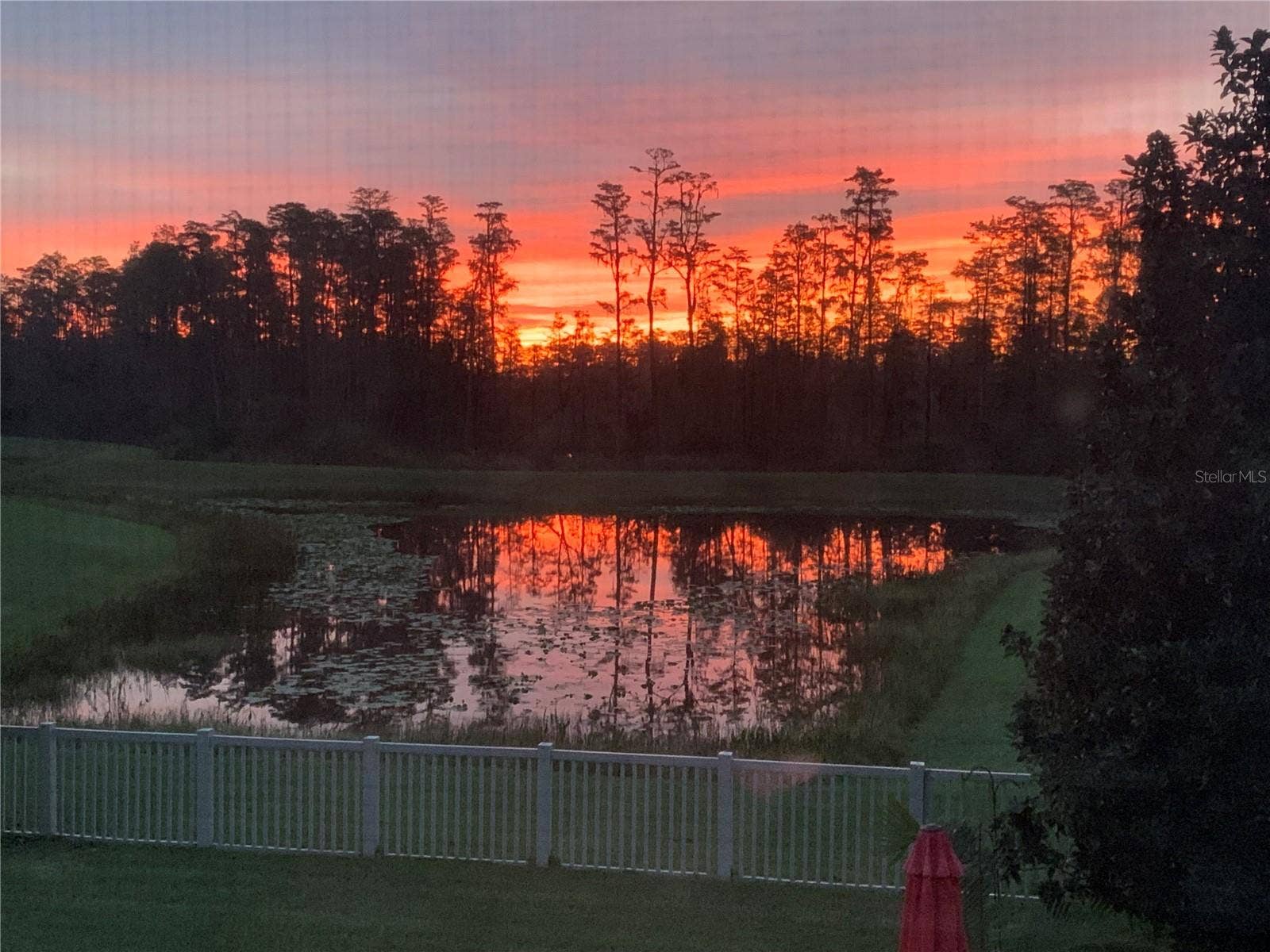 19472 LONG LAKE RANCH BOULEVARD, Lutz, FL 33558 19472 LONG LAKE RANCH BOULEVARD, Lutz, FL 33558