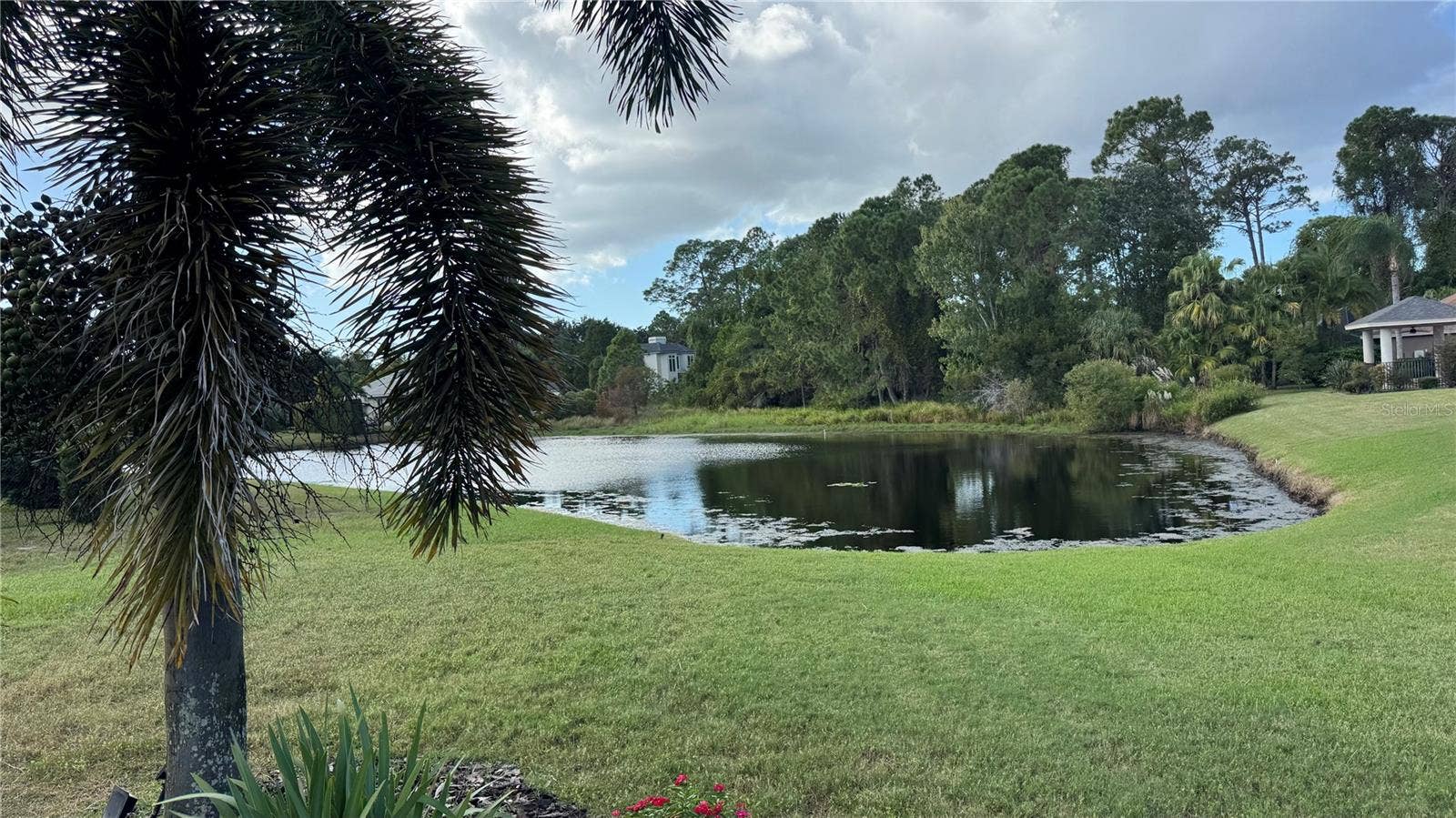 3730 JACMEL WAY, Palm Harbor, FL 34685