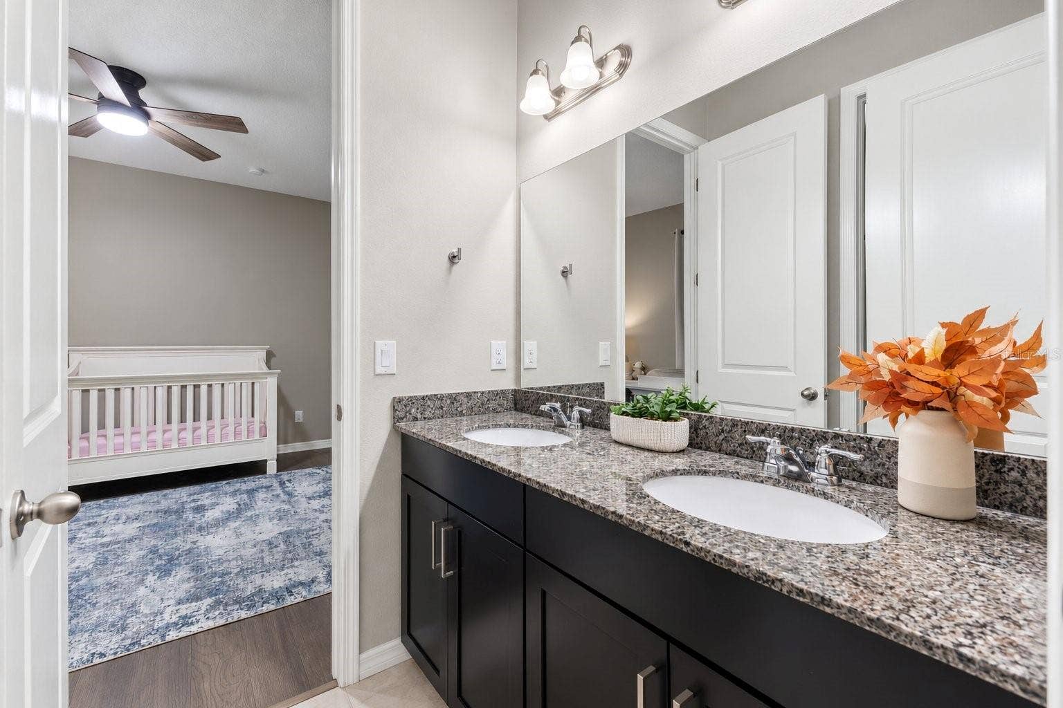 18922 ROSEATE DRIVE, Lutz, FL 33558 Jack and Jill Bathroom