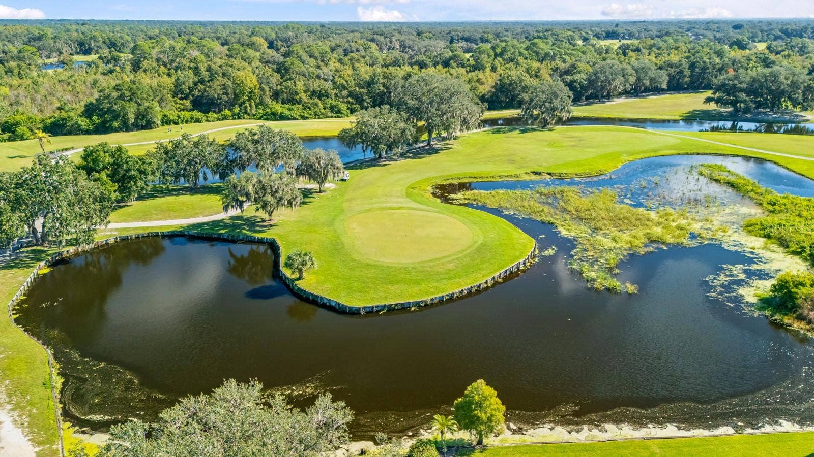 4626 PRESTON WOODS DRIVE, Valrico, FL 33596 4626 PRESTON WOODS DRIVE, Valrico, FL 33596