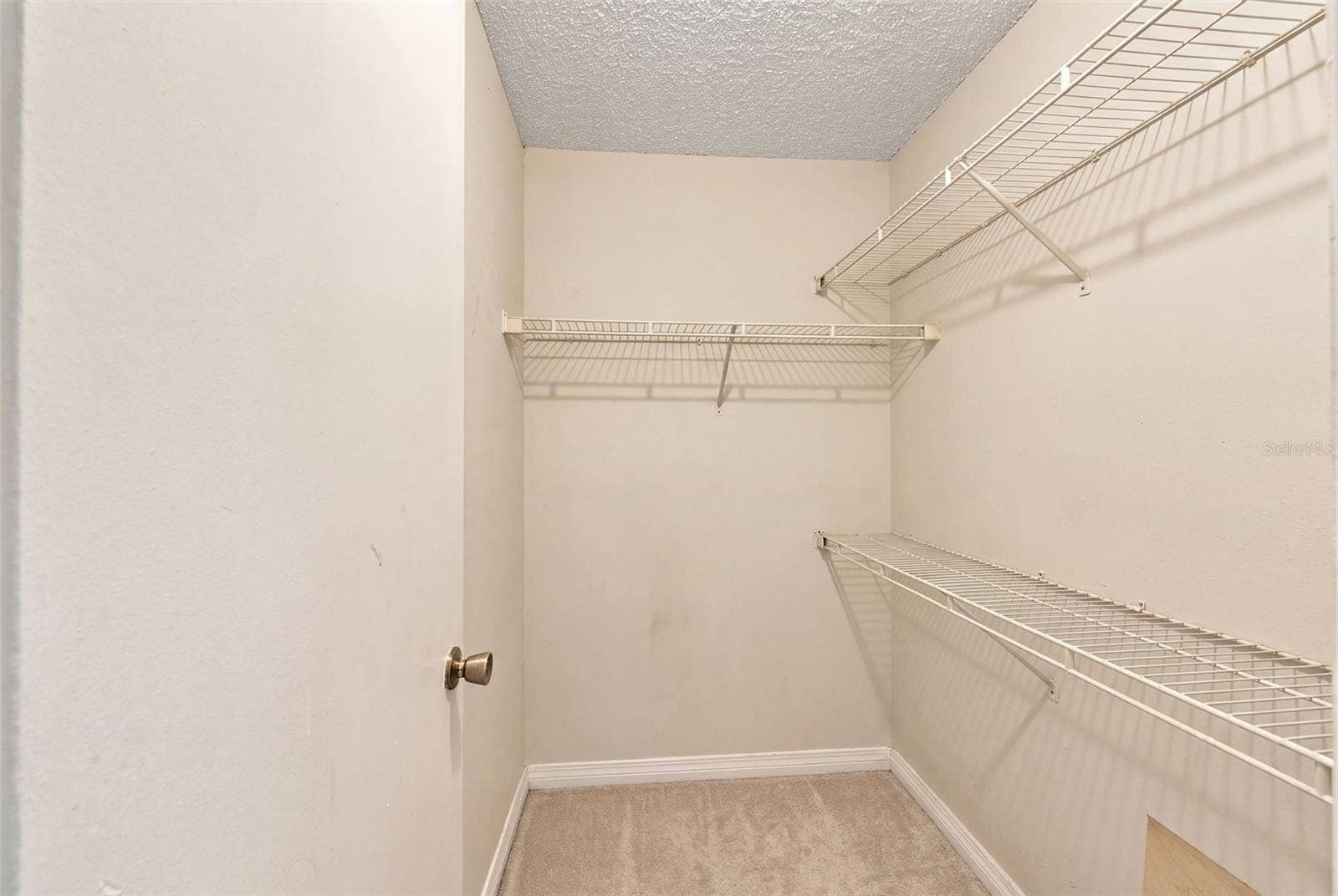 10020 STRAFFORD OAK COURT, #914, Tampa, FL 33624 10020 STRAFFORD OAK COURT, #914, Tampa, FL 33624