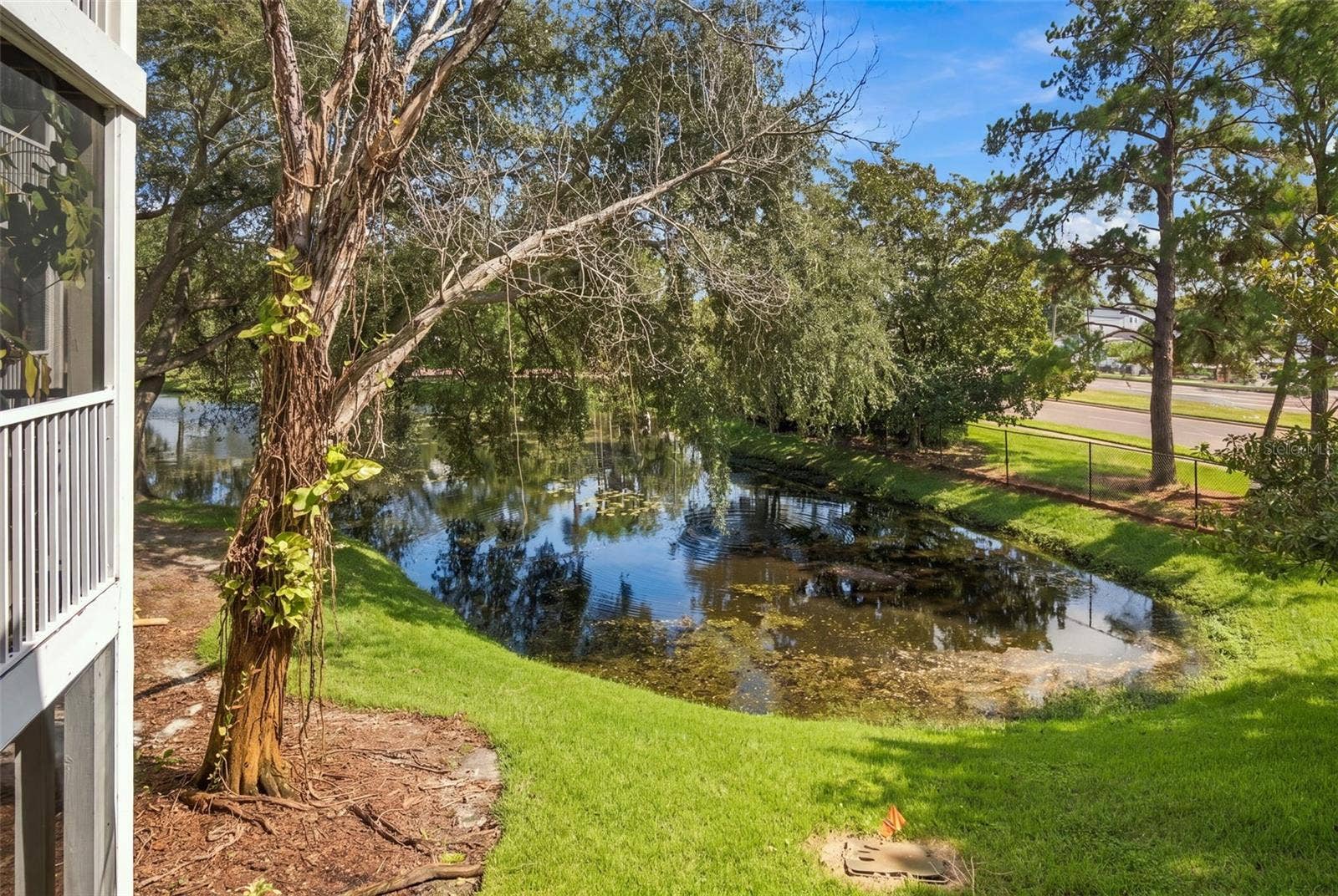 10020 STRAFFORD OAK COURT, #914, Tampa, FL 33624 10020 STRAFFORD OAK COURT, #914, Tampa, FL 33624