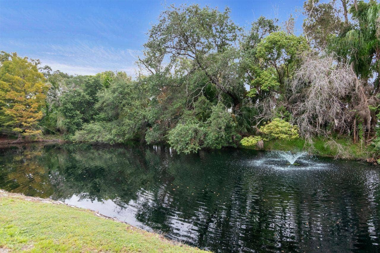 109 OLD OAK LANE, Palm Harbor, FL 34683 pond on parcel 2