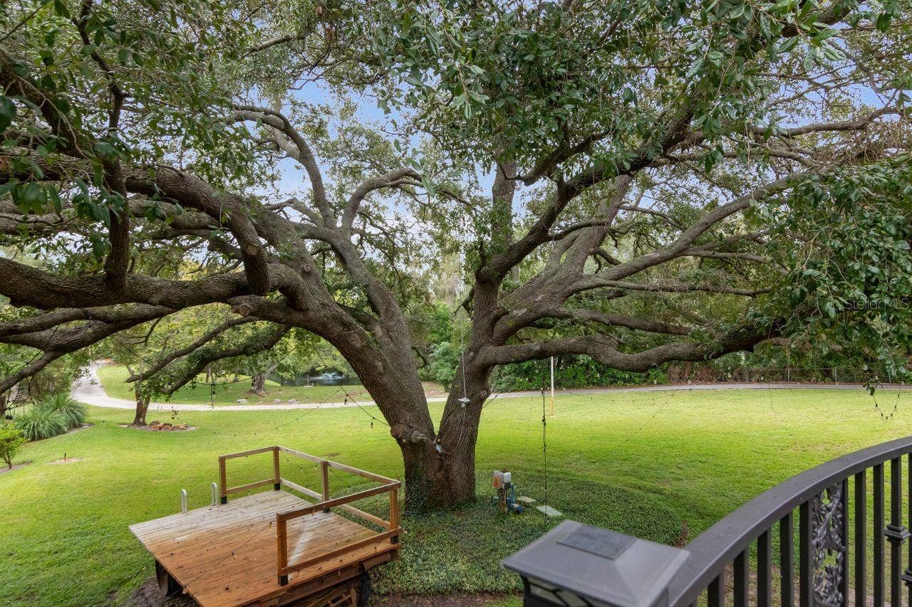 201 OLD OAK LANE, Palm Harbor, FL 34683 201 OLD OAK LANE, Palm Harbor, FL 34683