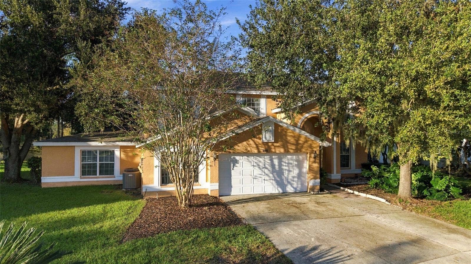 18509 BITTERN AVENUE, Lutz, FL 33558