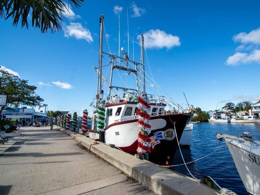 503 WINDRUSH BAY DRIVE, Tarpon Springs, FL 34689 503 WINDRUSH BAY DRIVE, Tarpon Springs, FL 34689