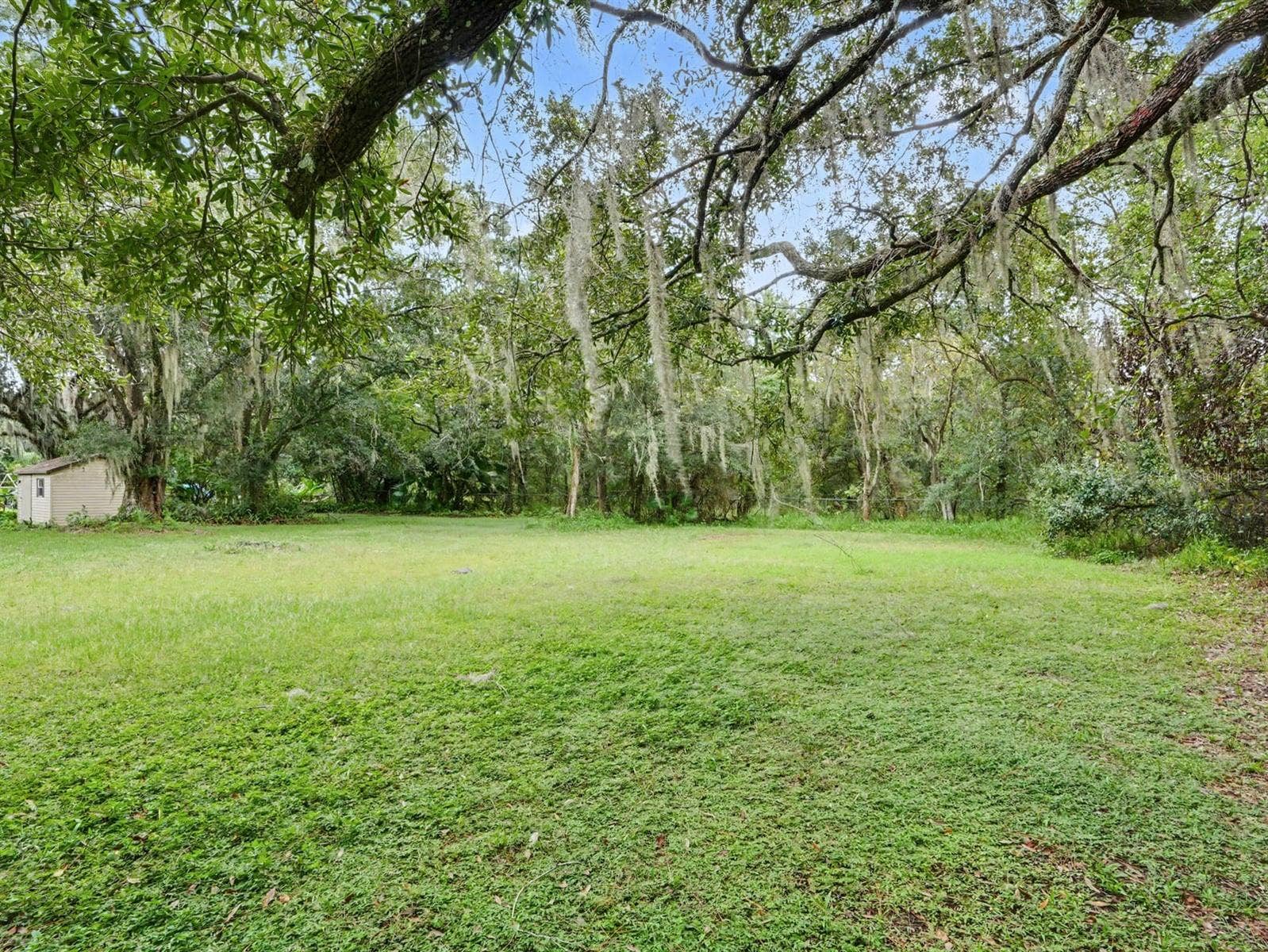 3015 STRAWBERRY LANE, Lakeland, FL 33801 Pastoral setting with mature trees and ample open land