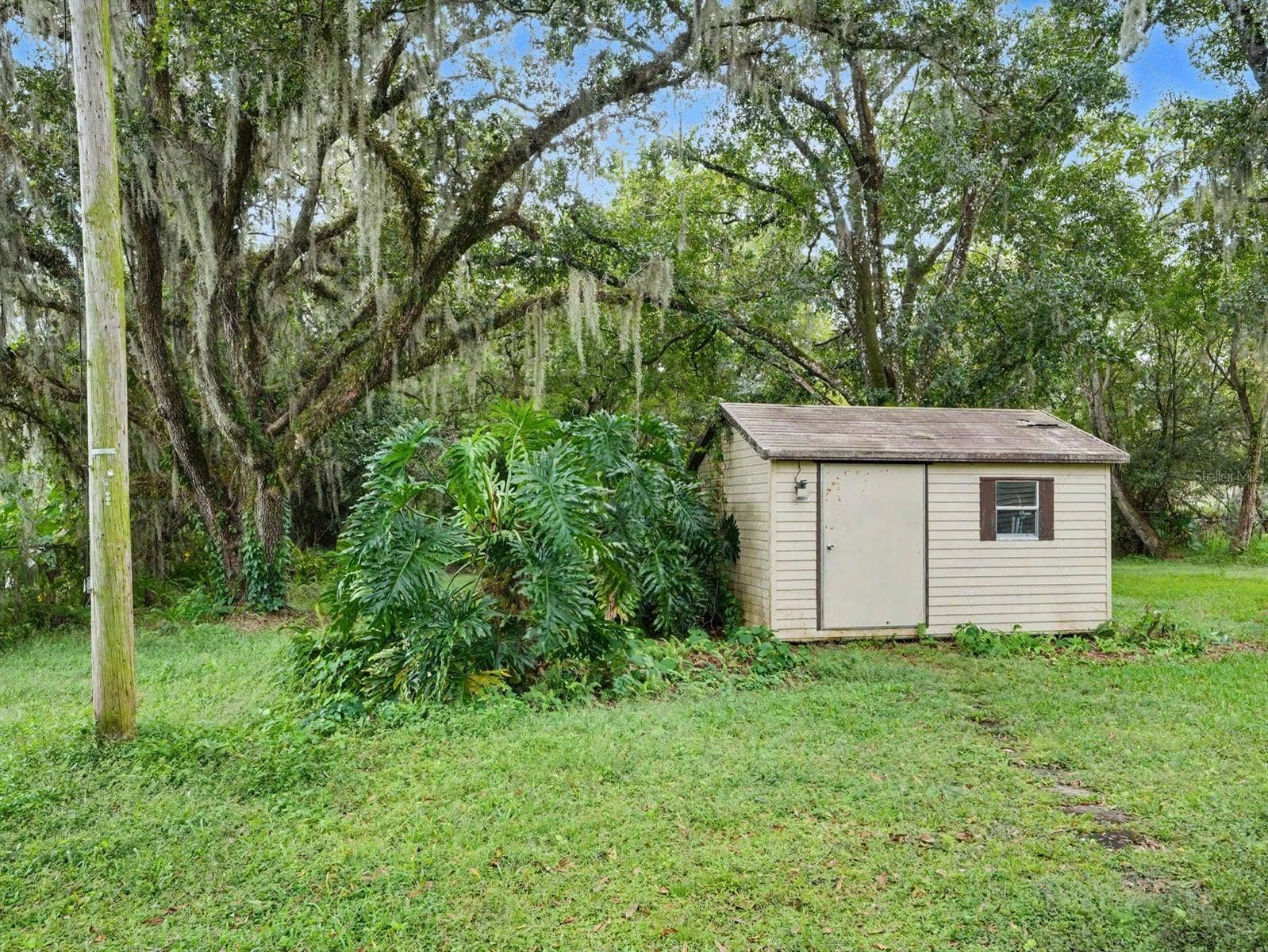 3015 STRAWBERRY LANE, Lakeland, FL 33801 Storage shed nestled among mature oak trees with Spanish moss