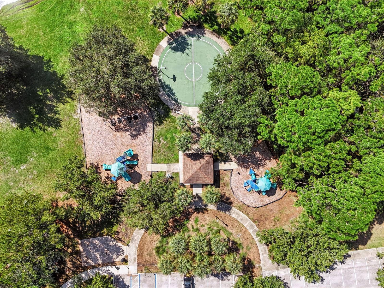 12541 LEATHERLEAF DRIVE, Tampa, FL 33626 community features