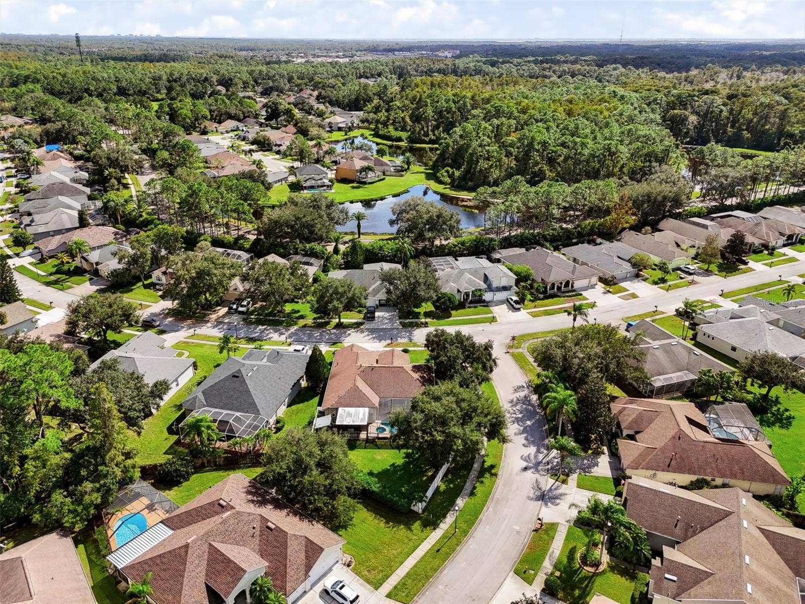 12541 LEATHERLEAF DRIVE, Tampa, FL 33626 12541 LEATHERLEAF DRIVE, Tampa, FL 33626