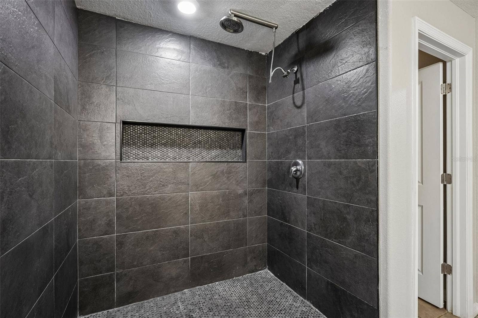 4103 GLOBE THISTLE DRIVE, Tampa, FL 33619 primary bath