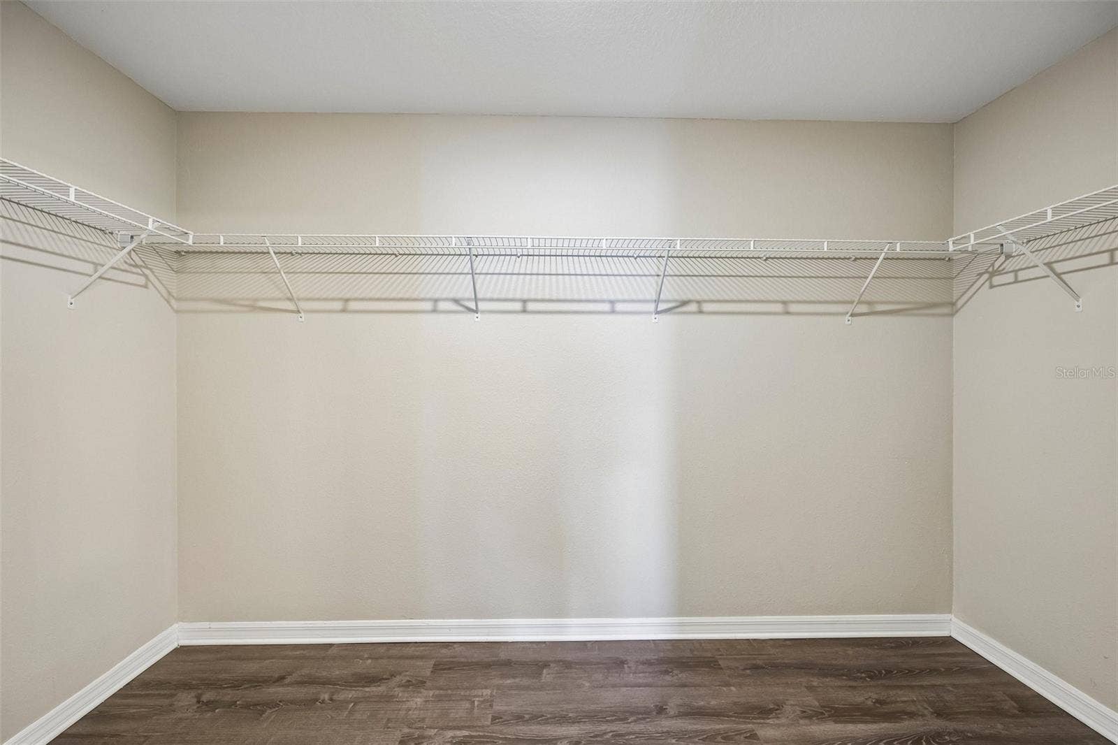 4103 GLOBE THISTLE DRIVE, Tampa, FL 33619 Walk in primary closet