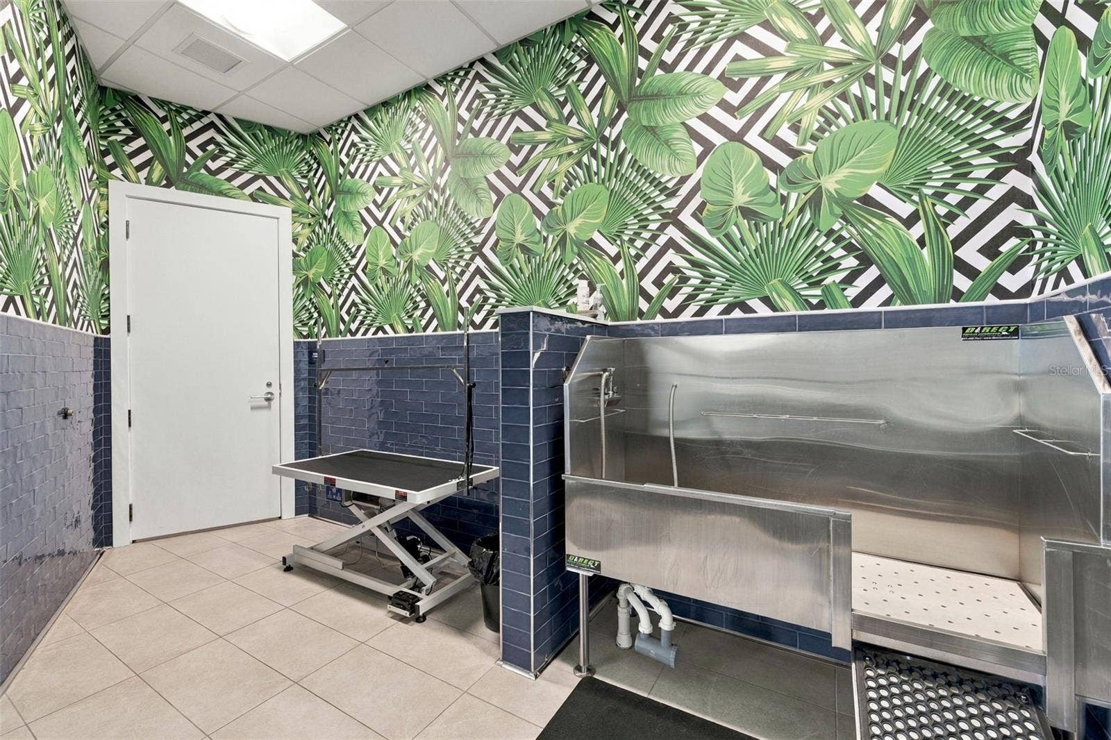 275 1ST AVENUE S, #3606, St Petersburg, FL 33701 Dog Grooming Room