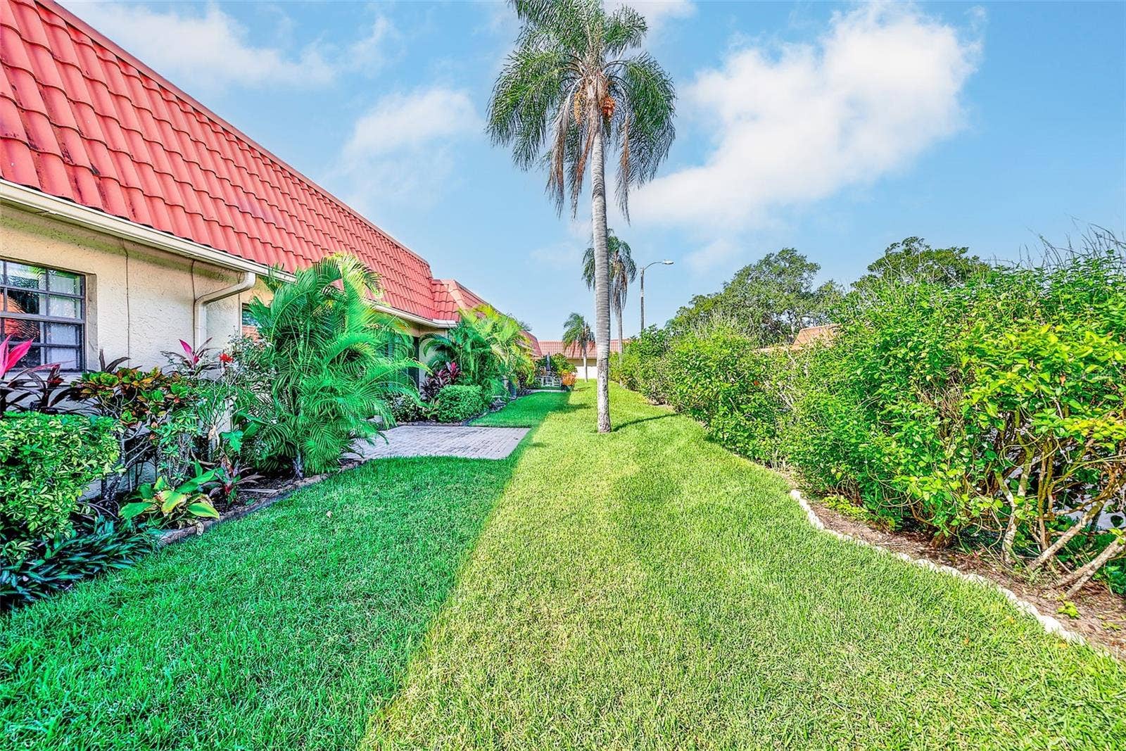 19029 US HIGHWAY 19 N, #21F, Clearwater, FL 33764 View of back yard