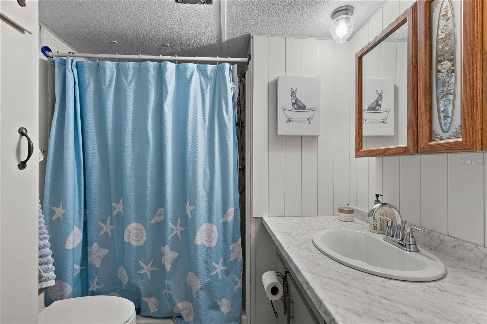 37332 SANDRA AVENUE, Zephyrhills, FL 33542 Guest bathroom.
