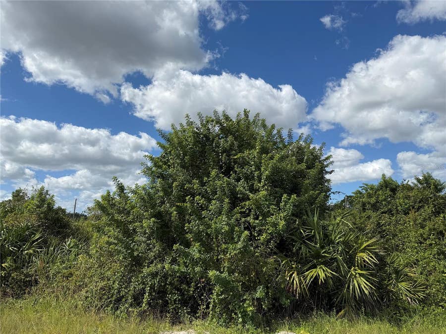 Property photo for 1209 PLUMOSA AVENUE, #3, Lehigh Acres, FL