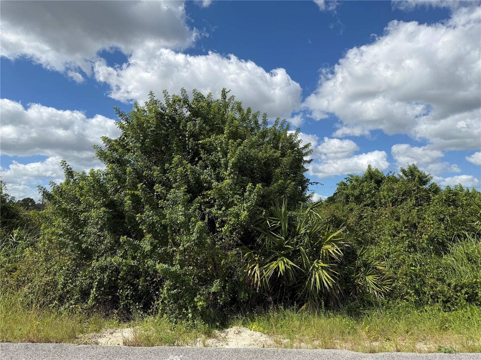 1209 PLUMOSA AVENUE, #3, Lehigh Acres, FL 33972 1209 PLUMOSA AVENUE, #3, Lehigh Acres, FL 33972