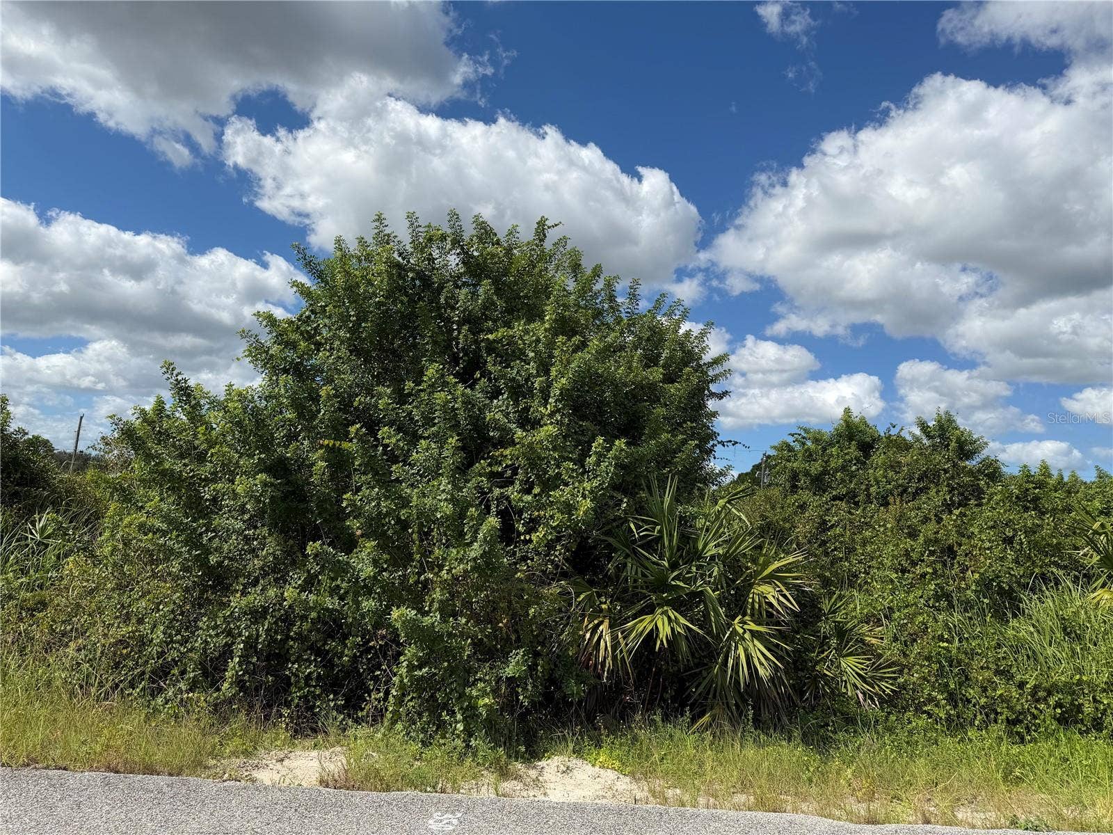 1209 PLUMOSA AVENUE, #3, Lehigh Acres, FL 33972 1209 PLUMOSA AVENUE, #3, Lehigh Acres, FL 33972