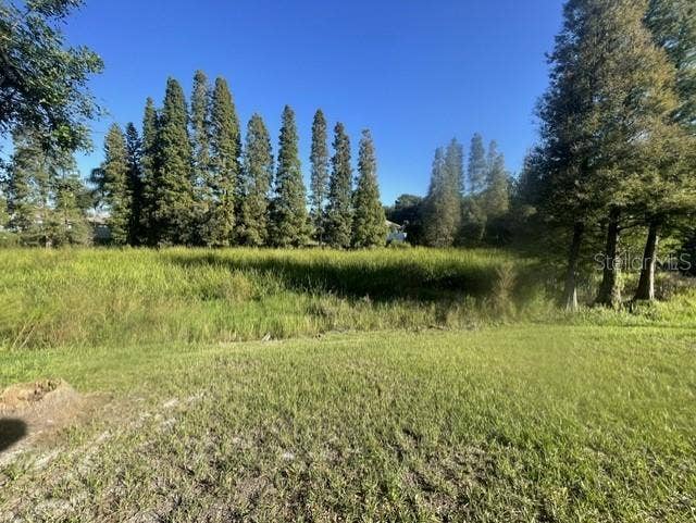 2413 SAGEMONT DRIVE, Brandon, FL 33511 Backyard view