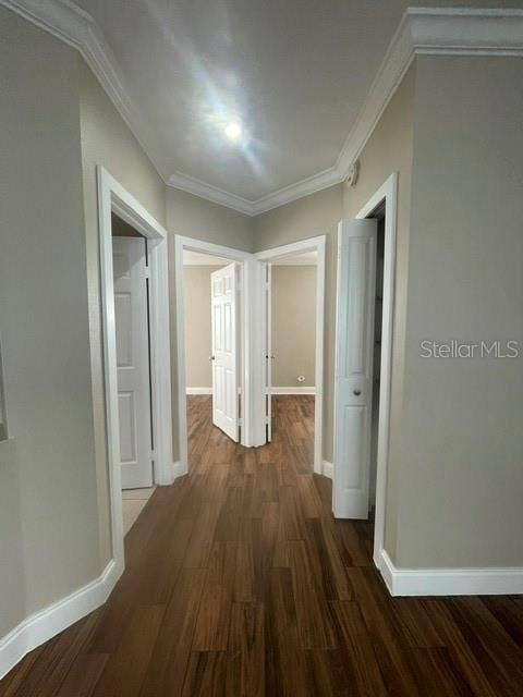 2413 SAGEMONT DRIVE, Brandon, FL 33511 Hallway with Linen closet
