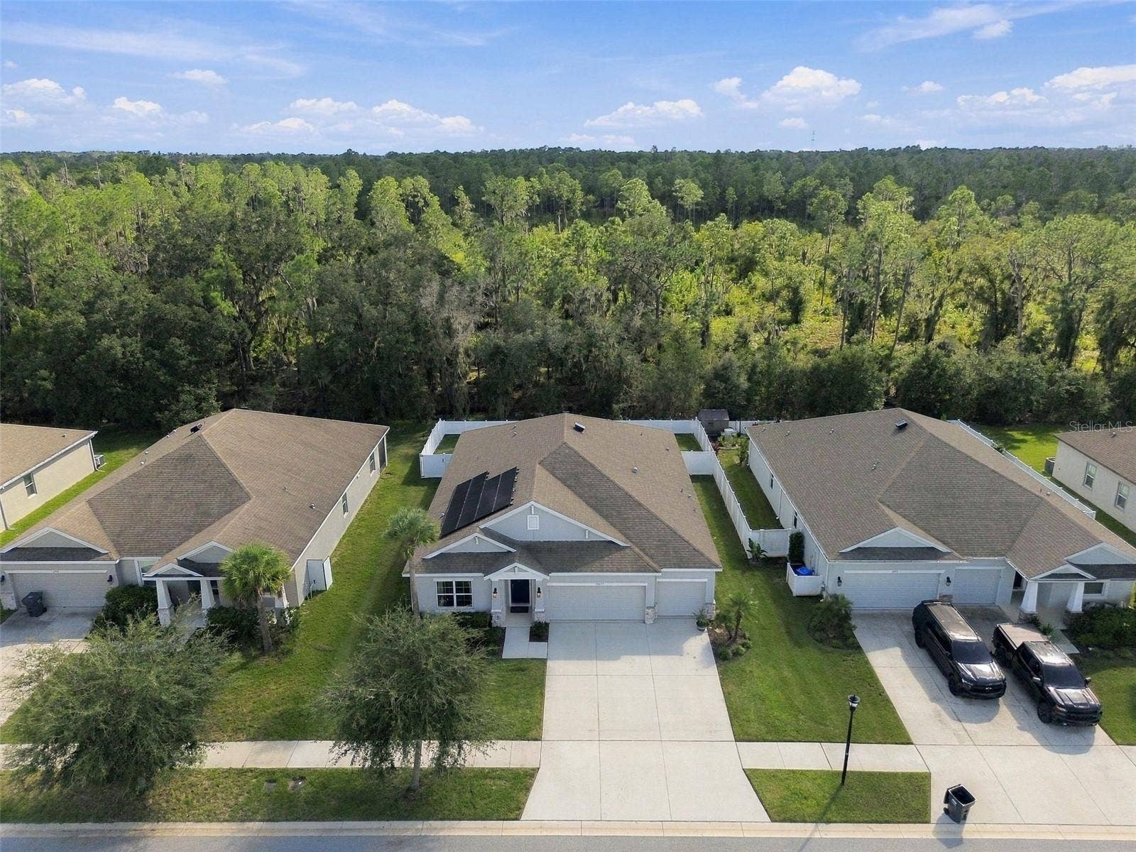 12417 BRICK COBBLESTONE DRIVE, Riverview, FL 33579 Drone view of property and conservation