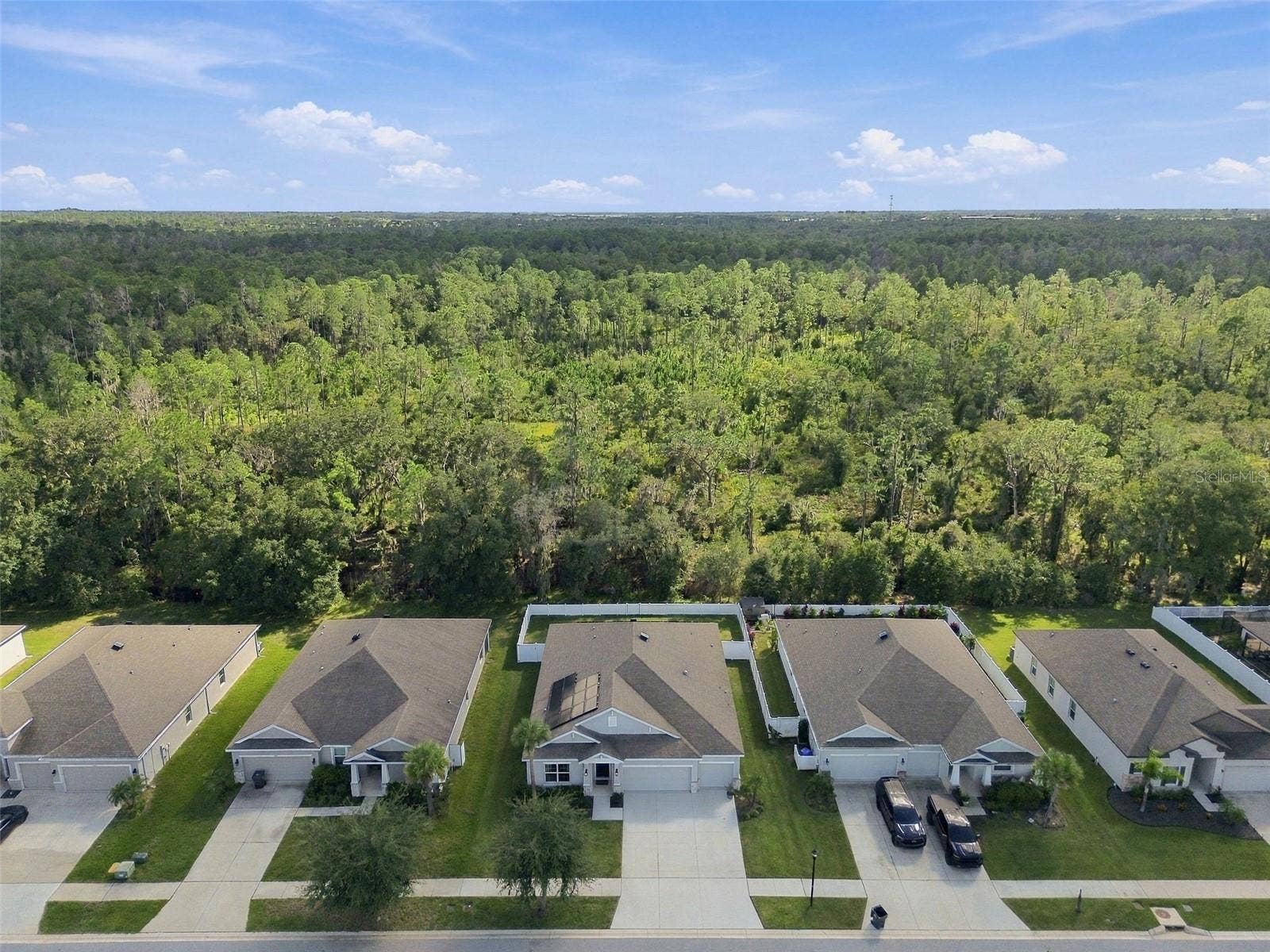 12417 BRICK COBBLESTONE DRIVE, Riverview, FL 33579 Greenery for miles! Views of lush conservation land
