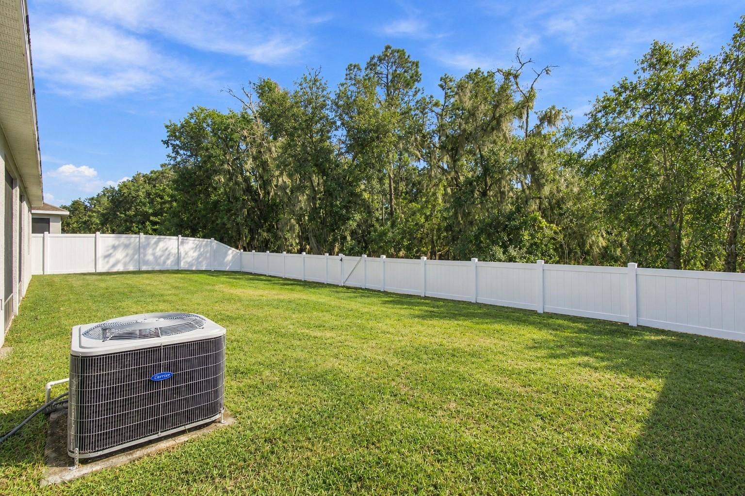 12417 BRICK COBBLESTONE DRIVE, Riverview, FL 33579 Sunny backyard view from back side of house and conservation woods in background