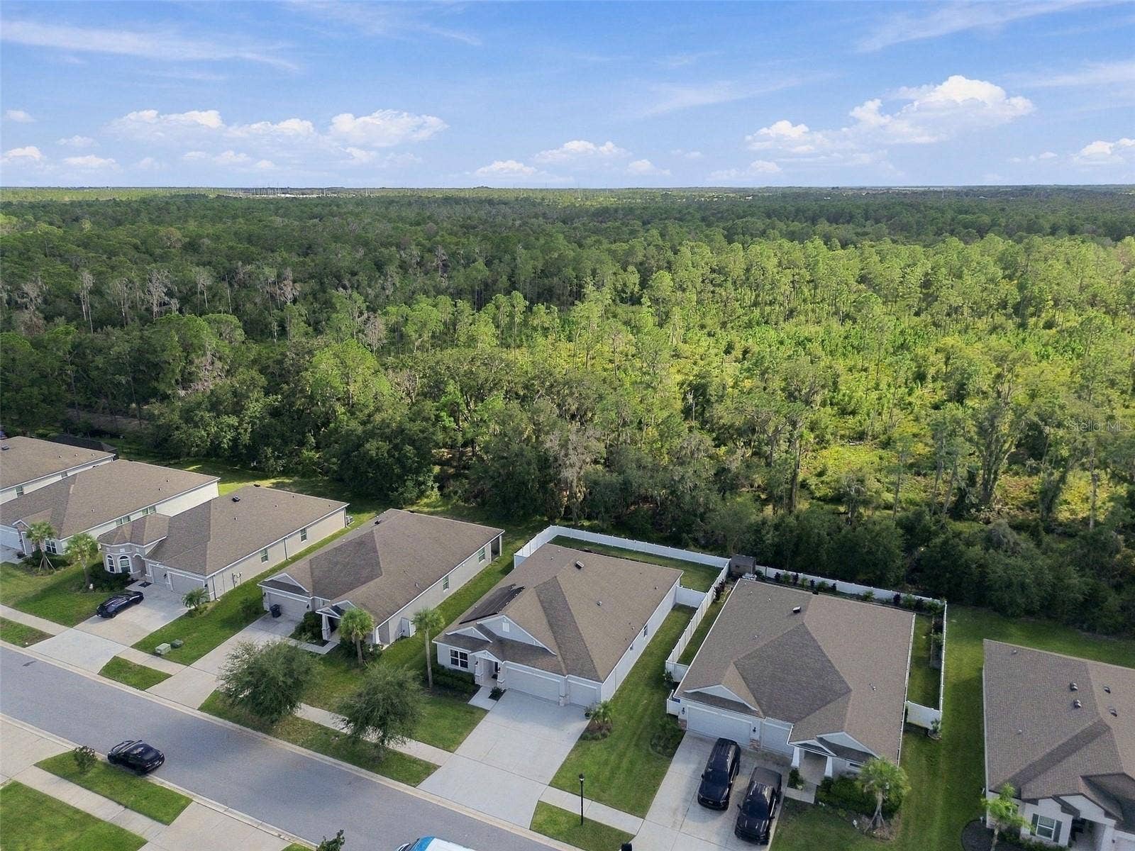12417 BRICK COBBLESTONE DRIVE, Riverview, FL 33579 Aerial view of property and breathtaking conservation views