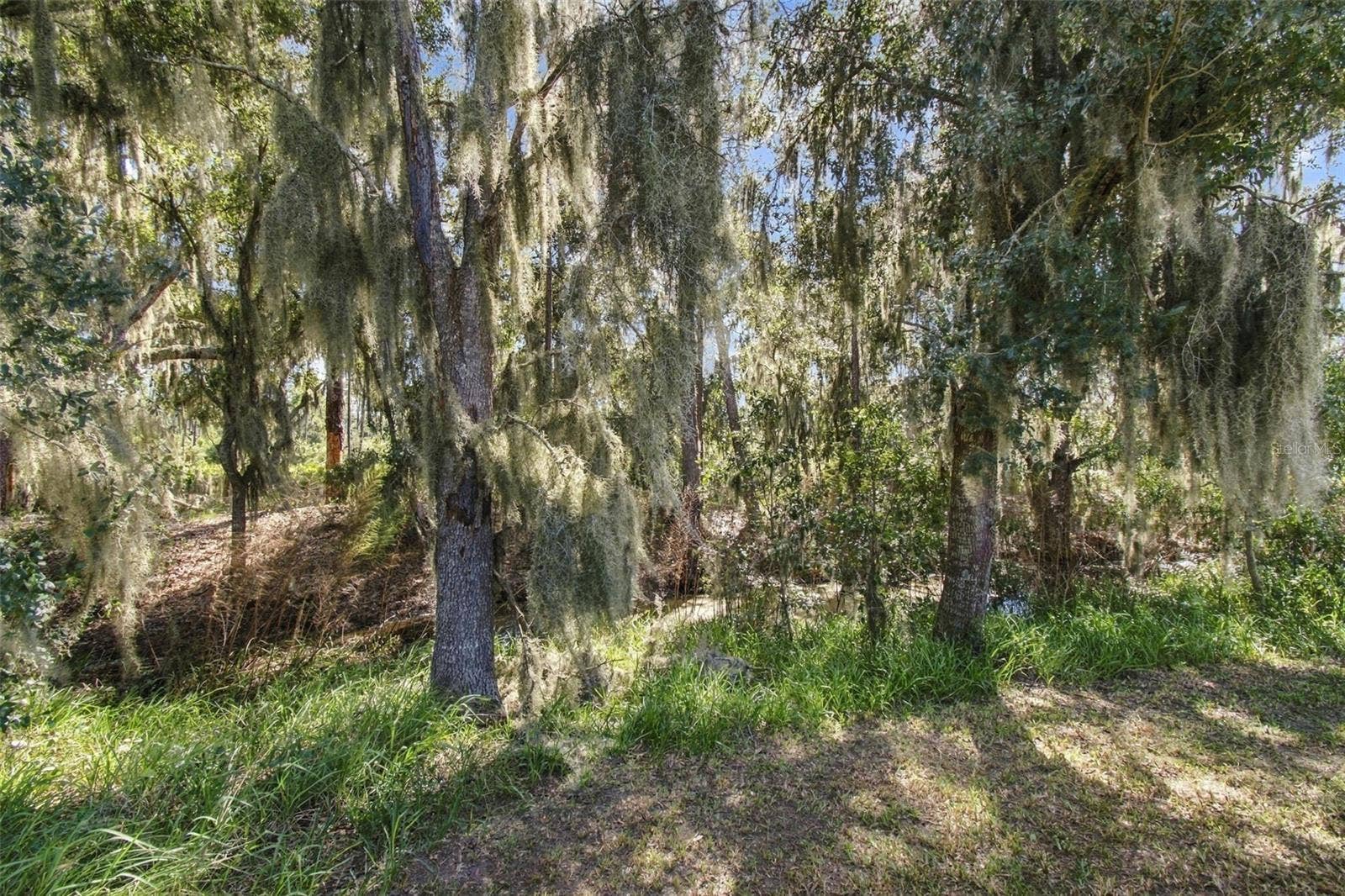 12417 BRICK COBBLESTONE DRIVE, Riverview, FL 33579 A center fence gate leads to conservation