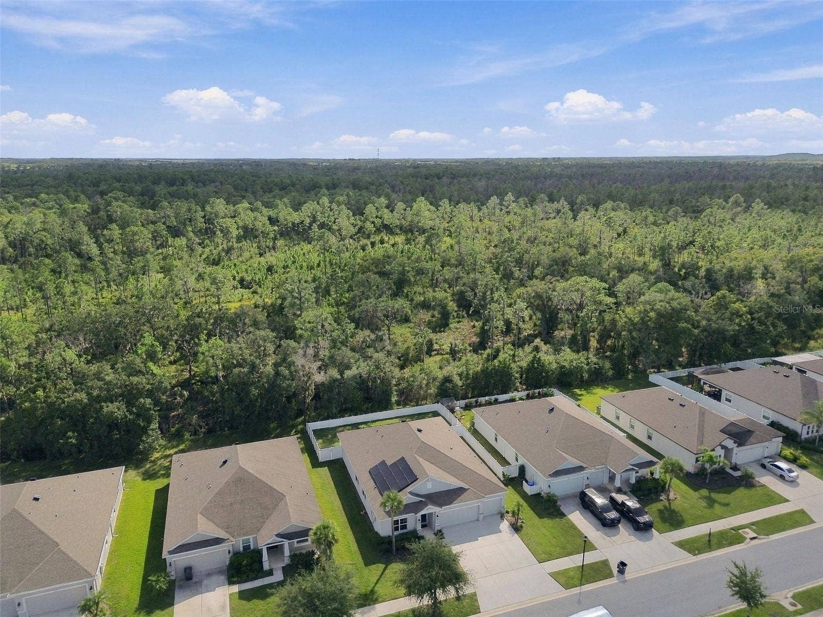 12417 BRICK COBBLESTONE DRIVE, Riverview, FL 33579 Drone view of property and expansive conservation