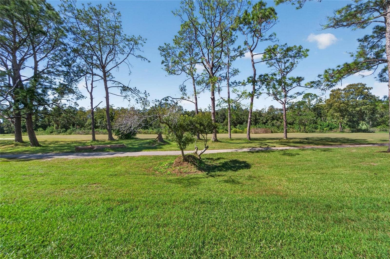 16216 RAMBLING VINE DRIVE W, Tampa, FL 33624 16216 RAMBLING VINE DRIVE W, Tampa, FL 33624