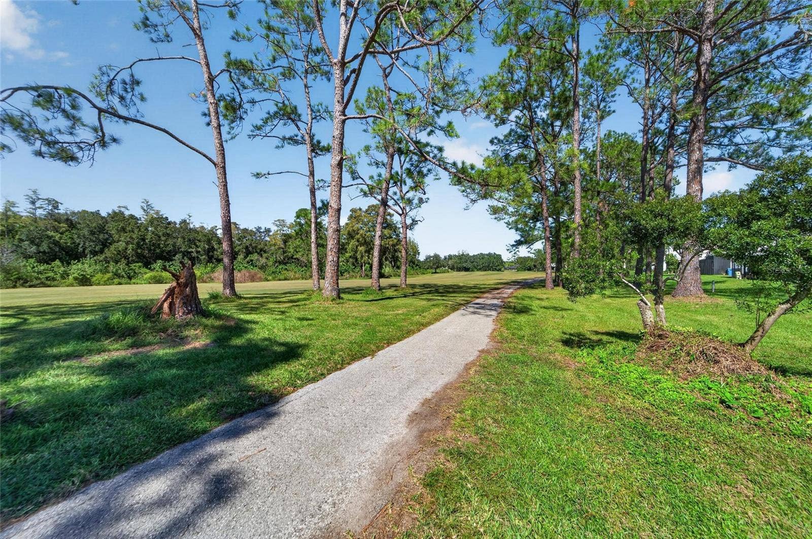 16216 RAMBLING VINE DRIVE W, Tampa, FL 33624 16216 RAMBLING VINE DRIVE W, Tampa, FL 33624