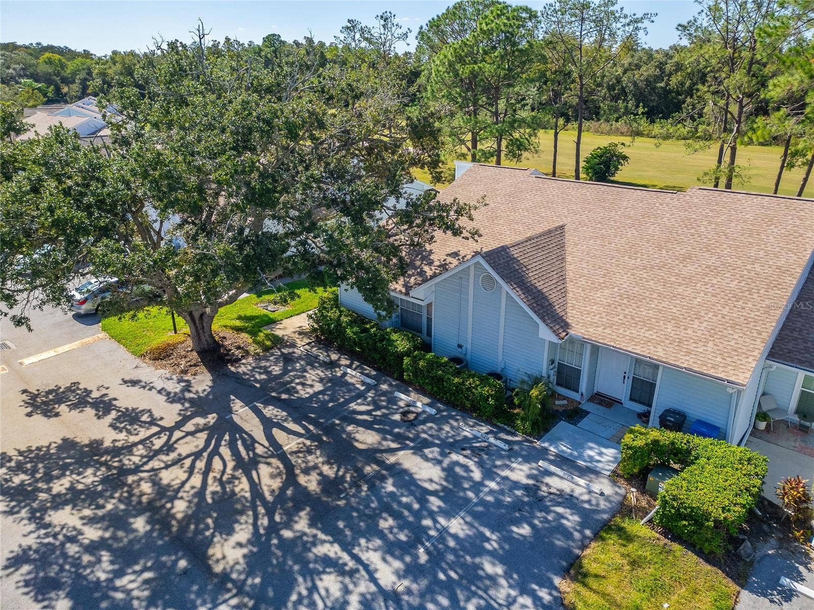 16216 RAMBLING VINE DRIVE W, Tampa, FL 33624 16216 RAMBLING VINE DRIVE W, Tampa, FL 33624