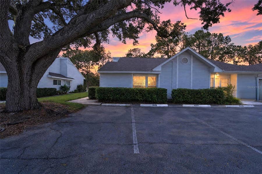 Property photo for 16216 RAMBLING VINE DRIVE W, Tampa, FL