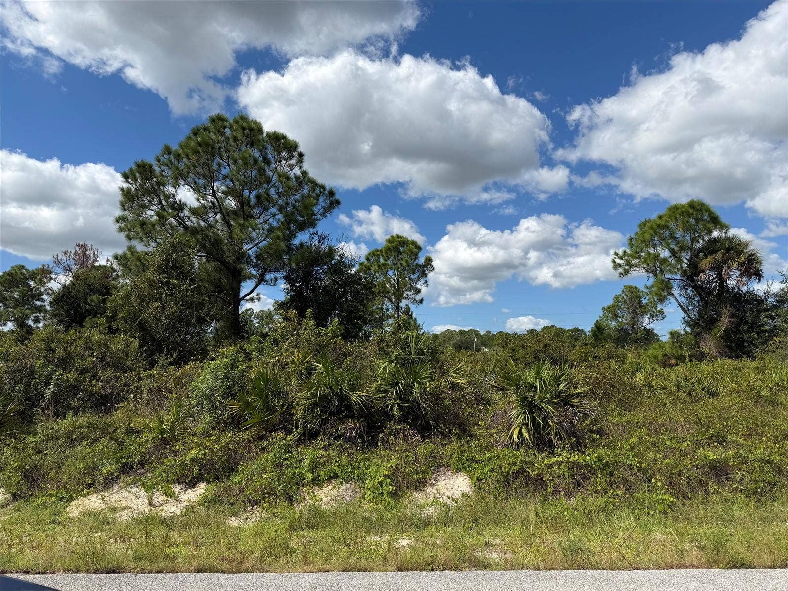 1203 PLUMOSA AVENUE, #3, Lehigh Acres, FL 33972 1203 PLUMOSA AVENUE, #3, Lehigh Acres, FL 33972