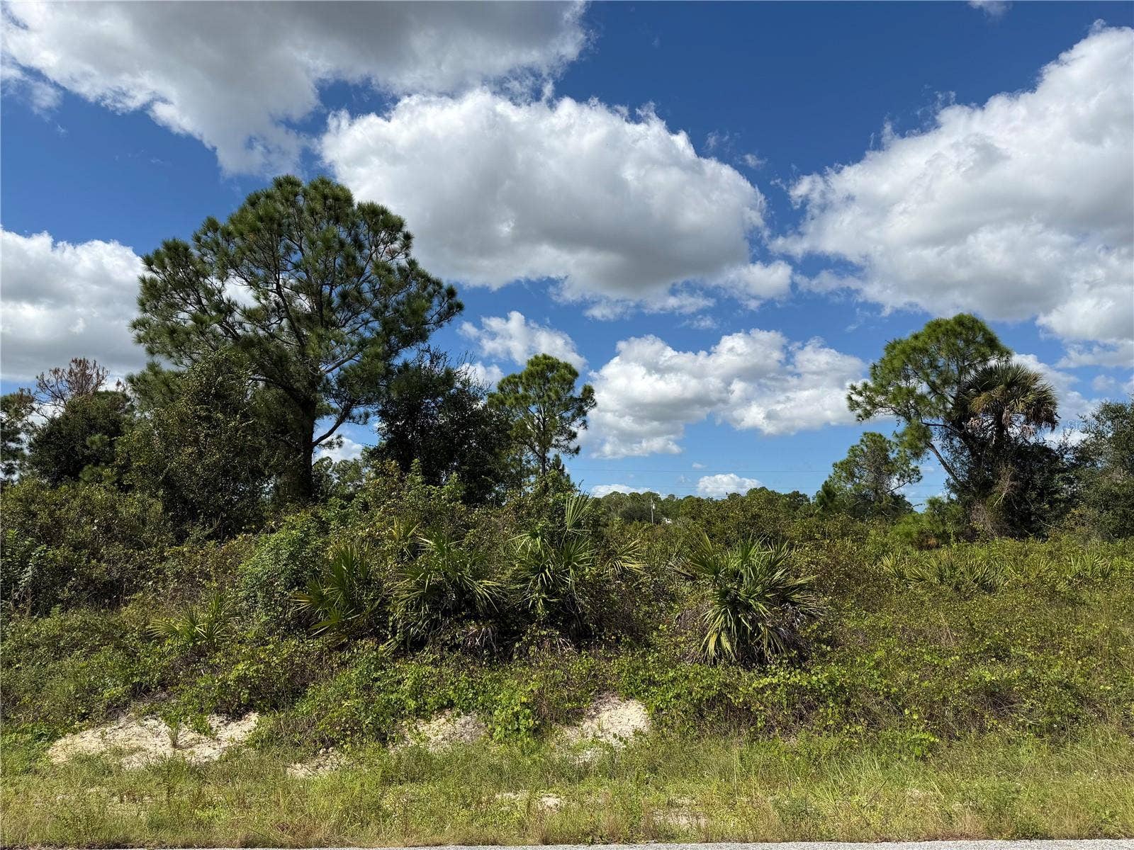 1203 PLUMOSA AVENUE, #3, Lehigh Acres, FL 33972 1203 PLUMOSA AVENUE, #3, Lehigh Acres, FL 33972