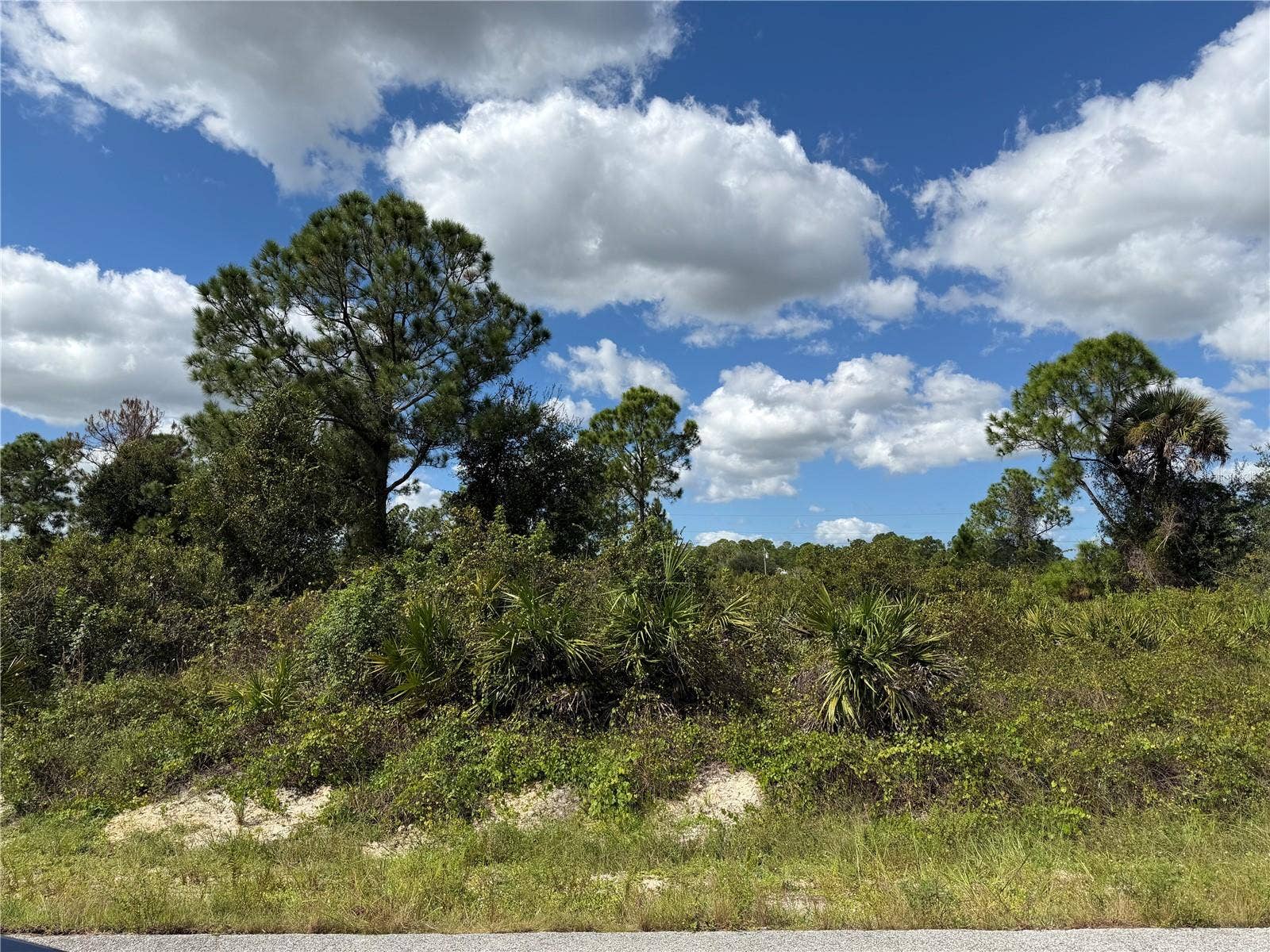 1203 PLUMOSA AVENUE, #3, Lehigh Acres, FL 33972 1203 PLUMOSA AVENUE, #3, Lehigh Acres, FL 33972