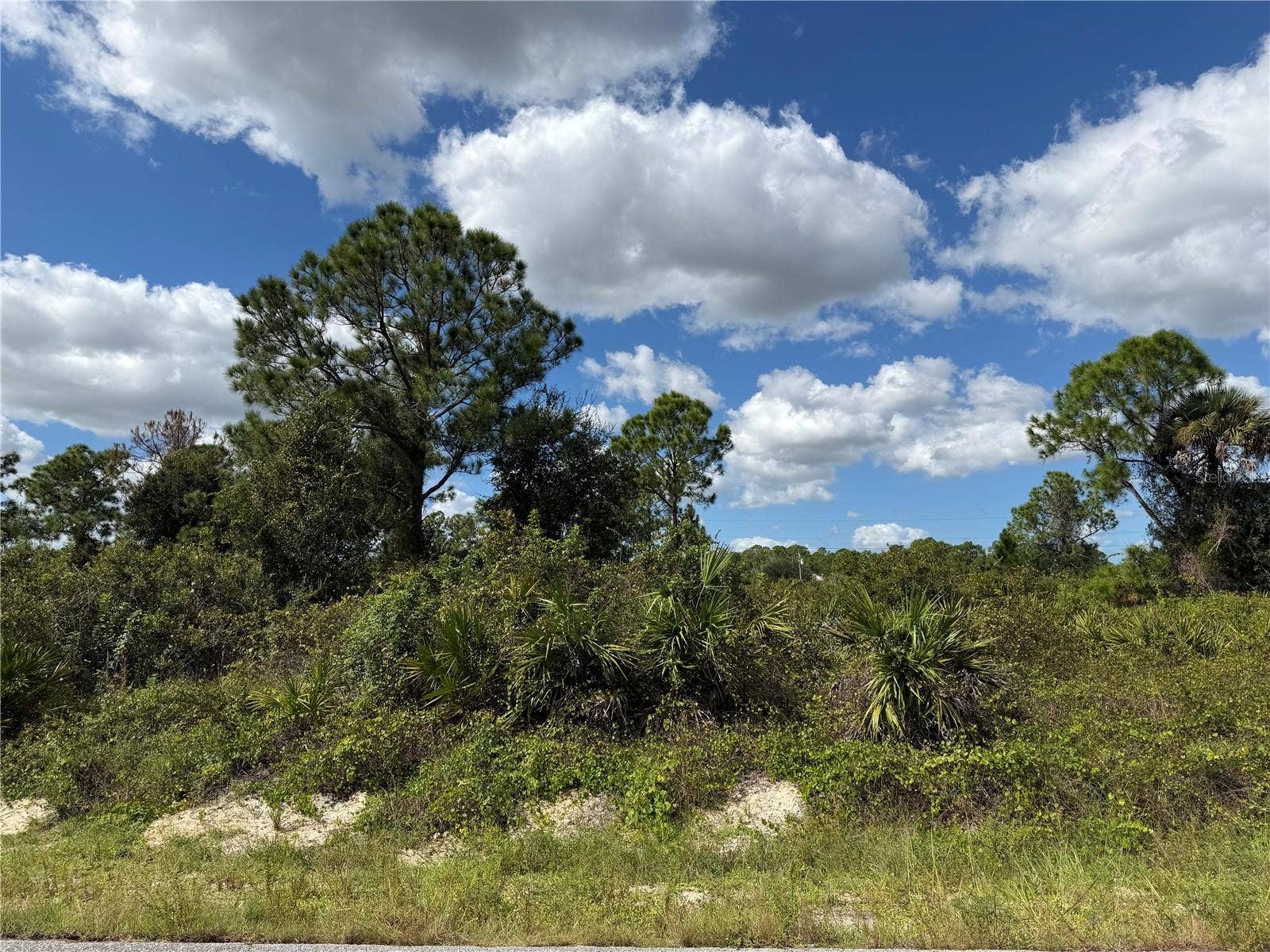 1203 PLUMOSA AVENUE, #3, Lehigh Acres, FL 33972 1203 PLUMOSA AVENUE, #3, Lehigh Acres, FL 33972