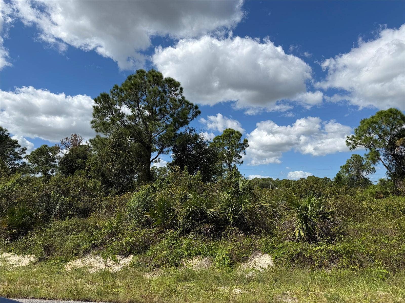 1203 PLUMOSA AVENUE, #3, Lehigh Acres, FL 33972 1203 PLUMOSA AVENUE, #3, Lehigh Acres, FL 33972
