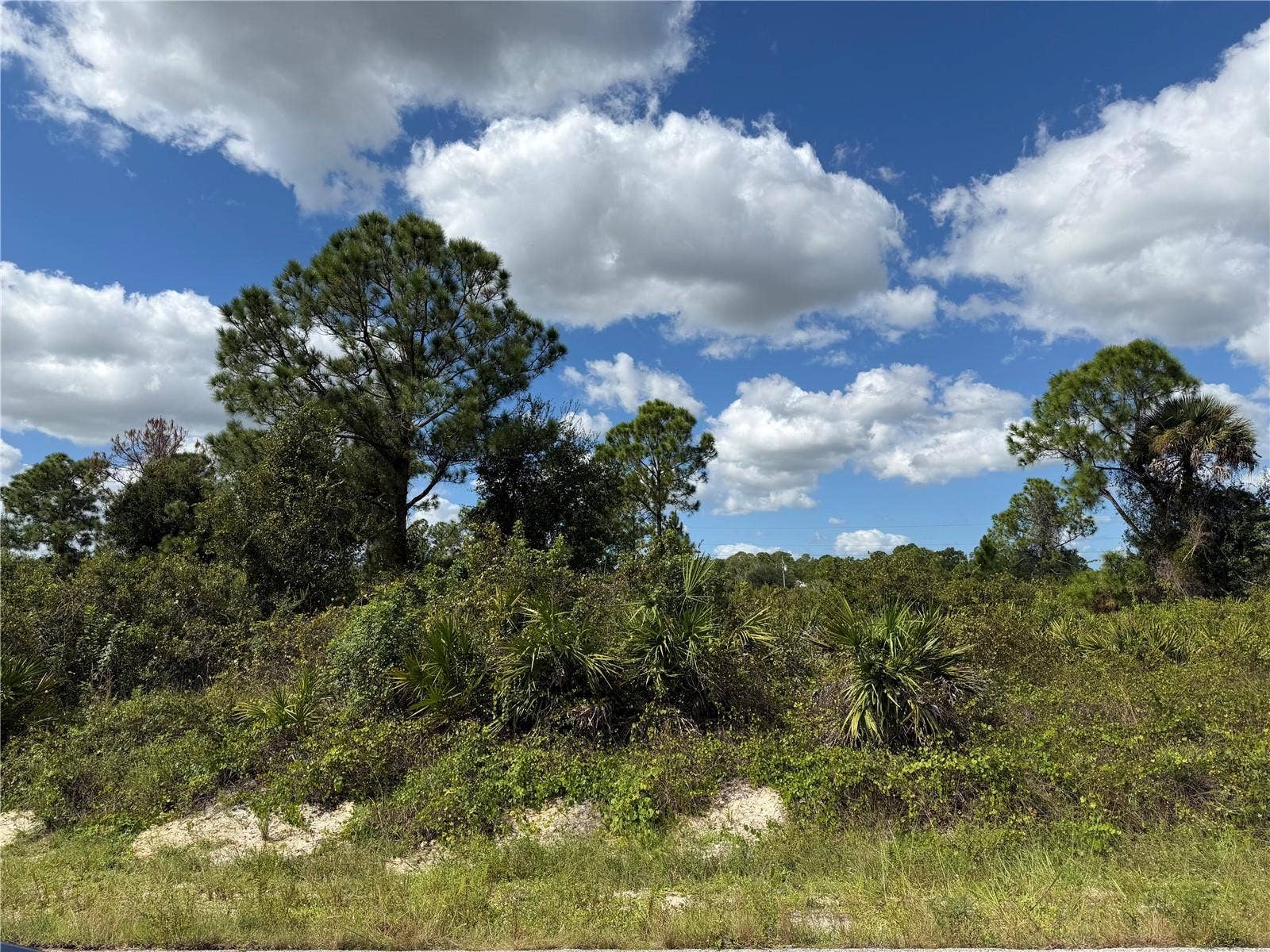 1203 PLUMOSA AVENUE, #3, Lehigh Acres, FL 33972 1203 PLUMOSA AVENUE, #3, Lehigh Acres, FL 33972