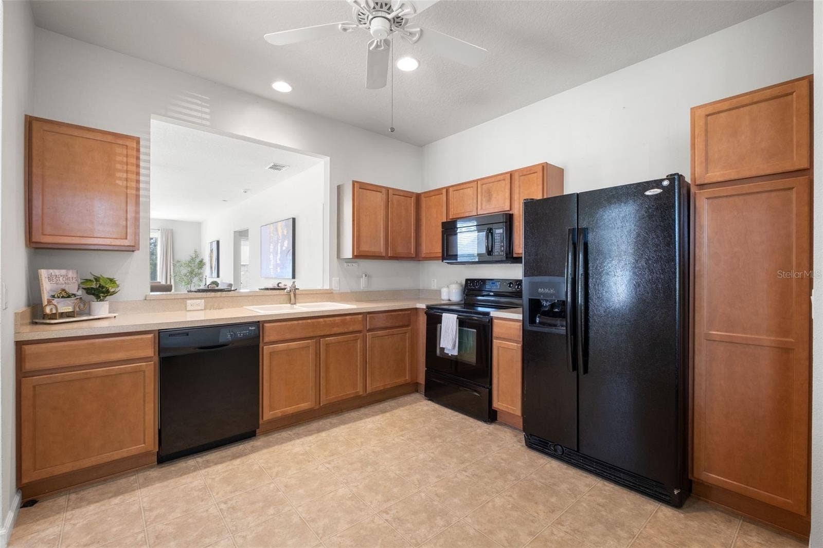 348 ALPINE THISTLE DRIVE, Brooksville, FL 34604