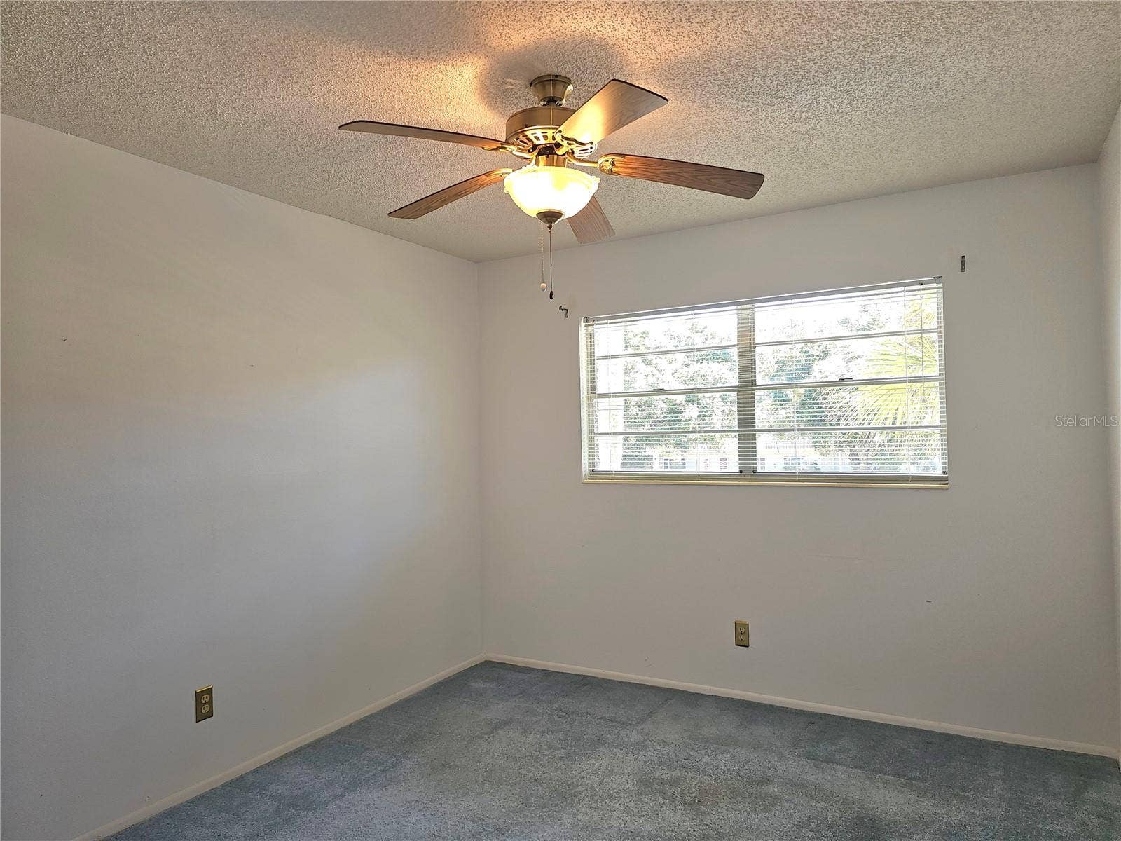 2386 SUMATRAN WAY, #44, Clearwater, FL 33763 2386 SUMATRAN WAY, #44, Clearwater, FL 33763