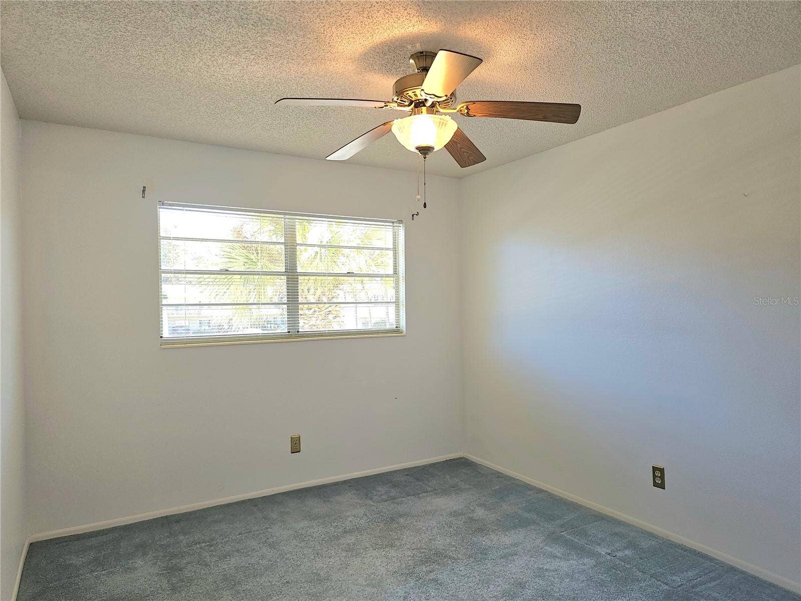 2386 SUMATRAN WAY, #44, Clearwater, FL 33763 2386 SUMATRAN WAY, #44, Clearwater, FL 33763