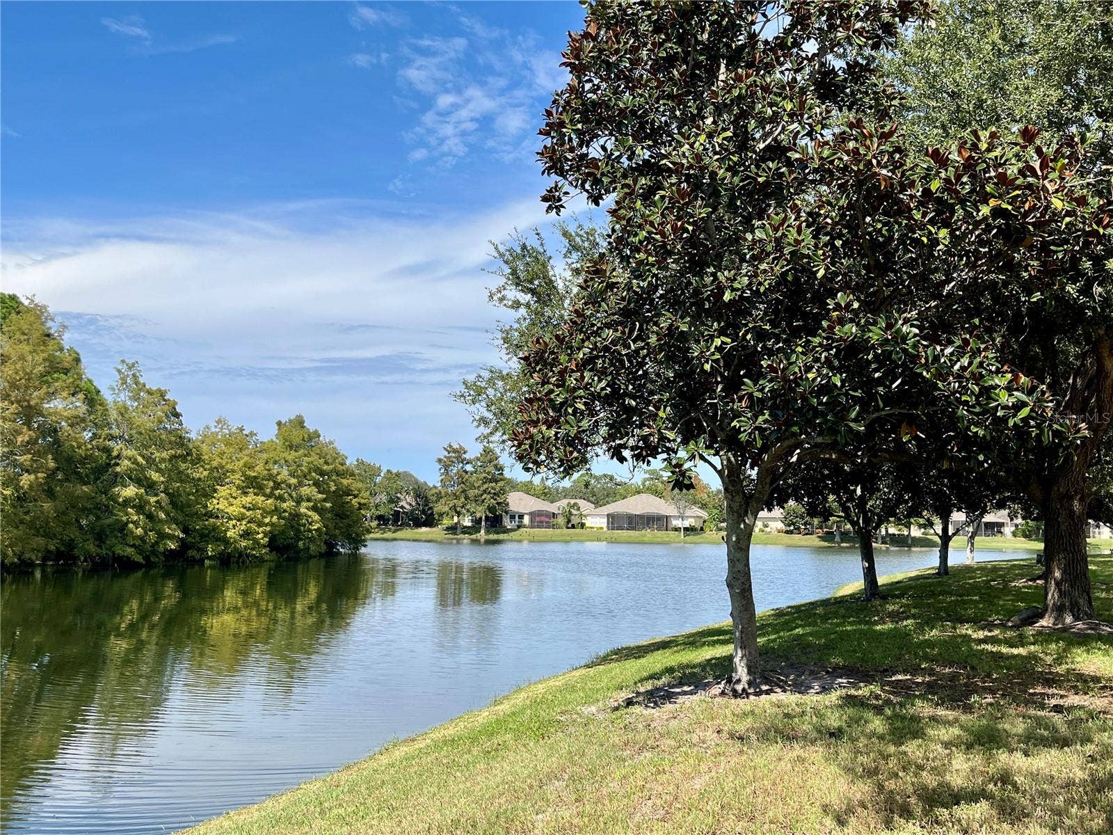 1040 ORCA COURT, Holiday, FL 34691 1040 ORCA COURT, Holiday, FL 34691